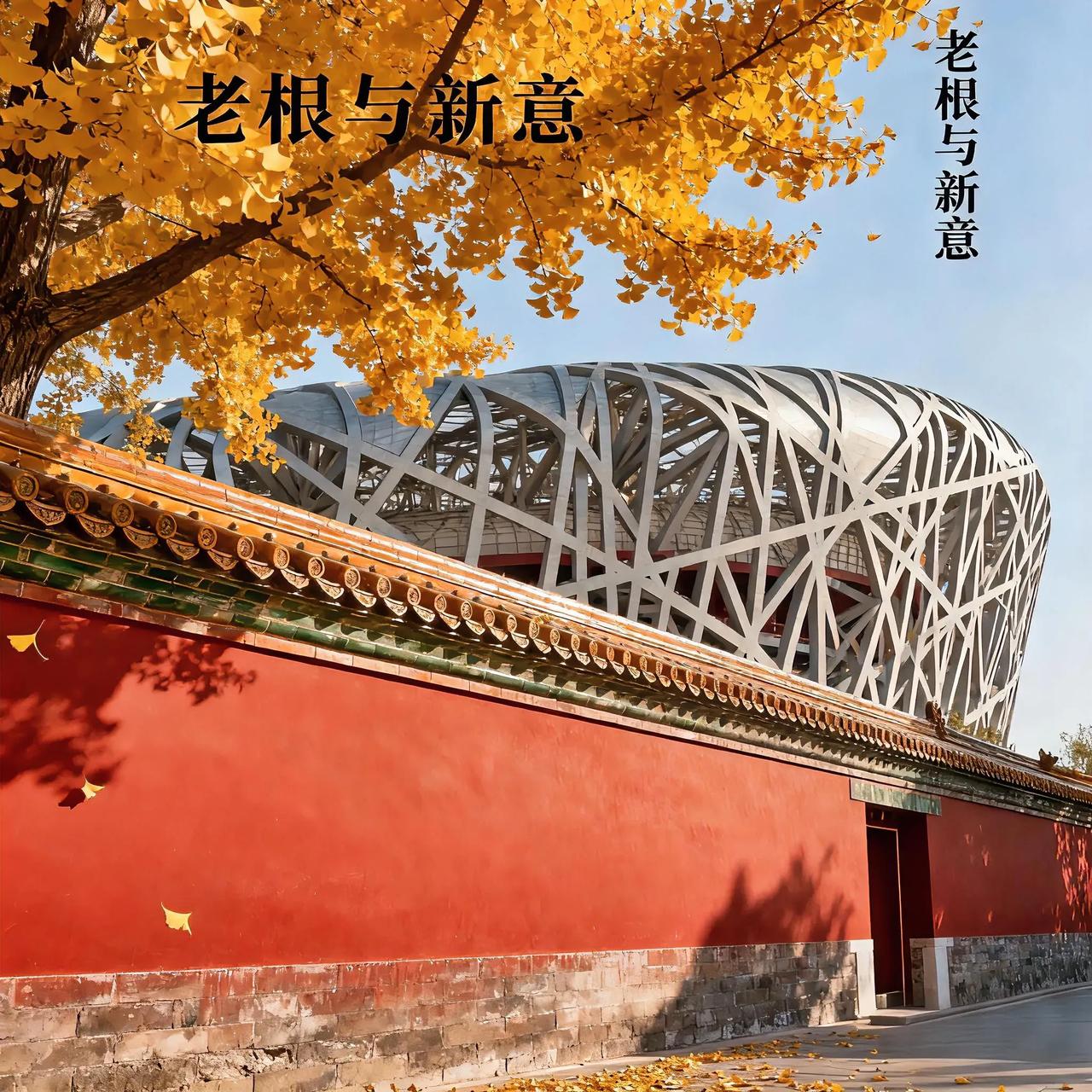 台湾馆长夸北京“玩不完”，这风景里藏着老根与新意中国台湾网红“馆长”逛北京