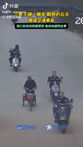 听说过出事了把责任推给别人的，没听说过把责任推给狗的。三男子共骑一辆电动车在路