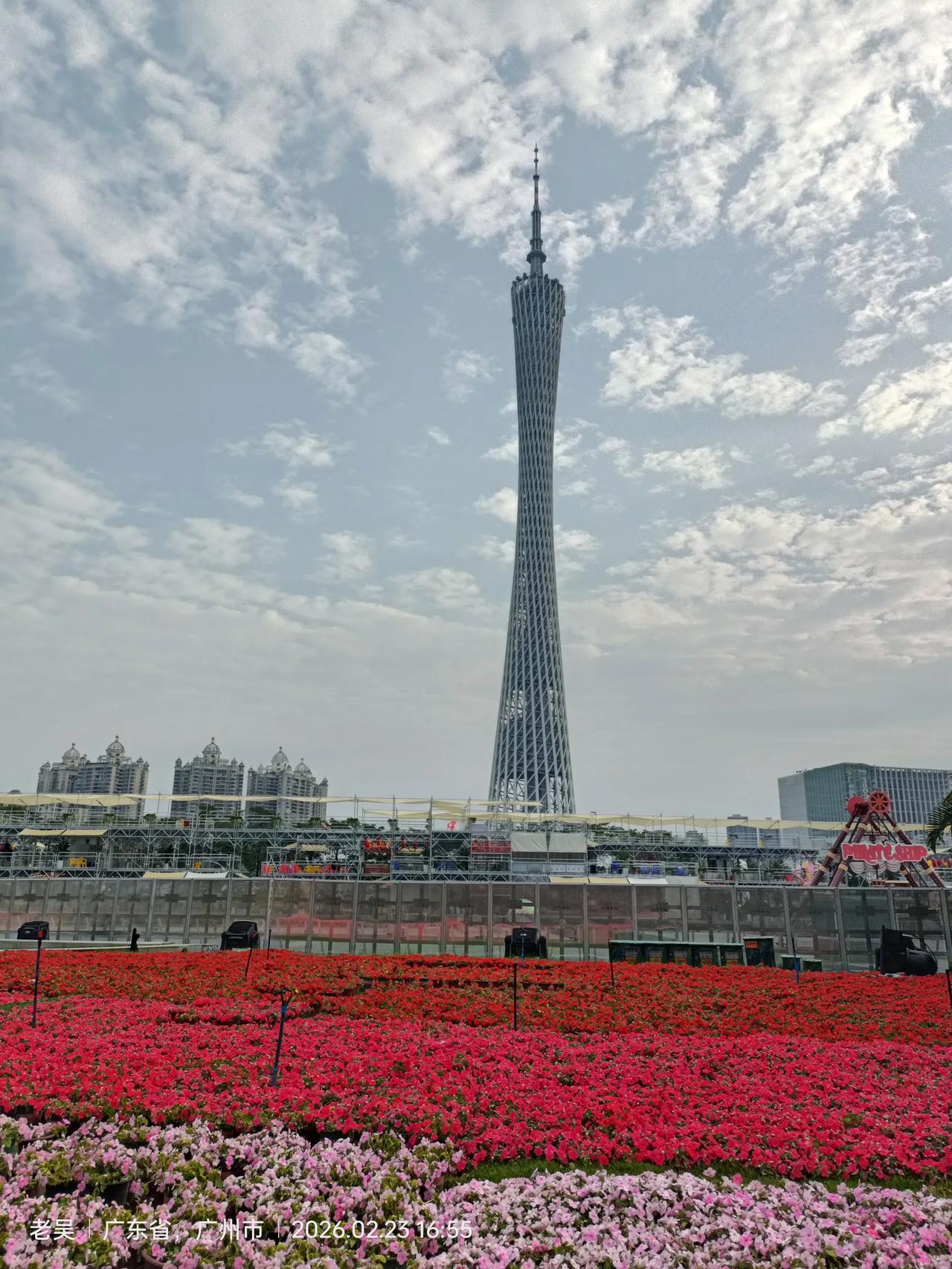 如果你在广州,会去逛花市吗?广州过年.花城赏花