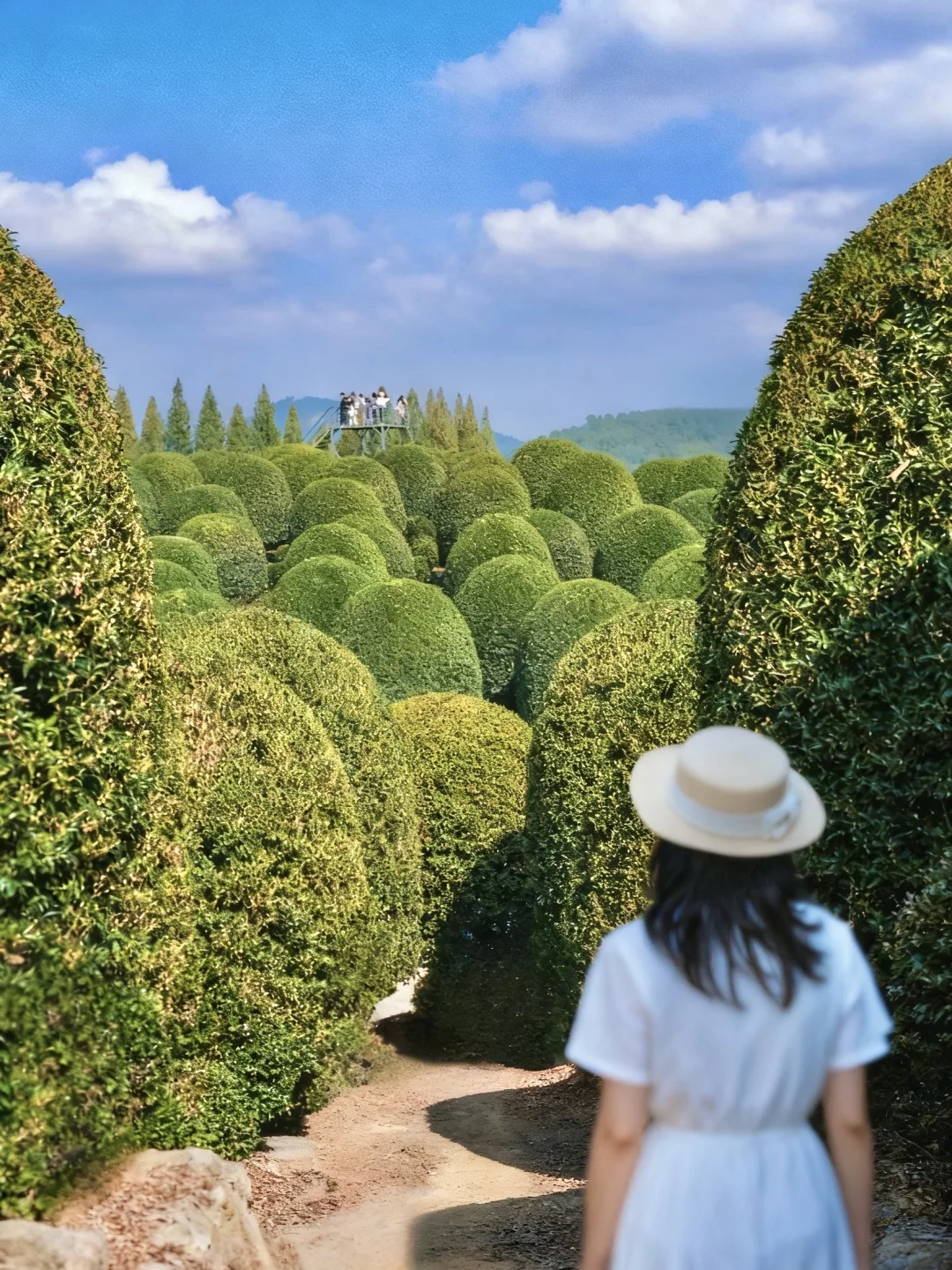 杭州这拥有8千棵盛开桂花的仙境竟然不火?