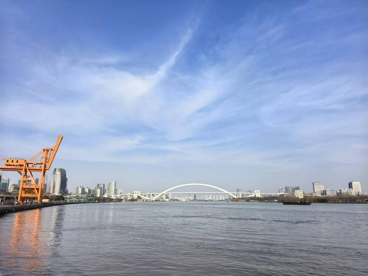 不结婚很悲哀的，等老了就会痛苦，而结婚就不会，一旦结了婚，你马上就会痛苦，不用等