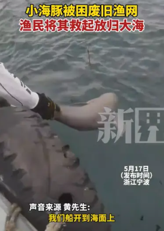 “积大德了！”2025年5月，浙江宁波，一群渔民出海捕鱼，不料，却发现废旧渔网里