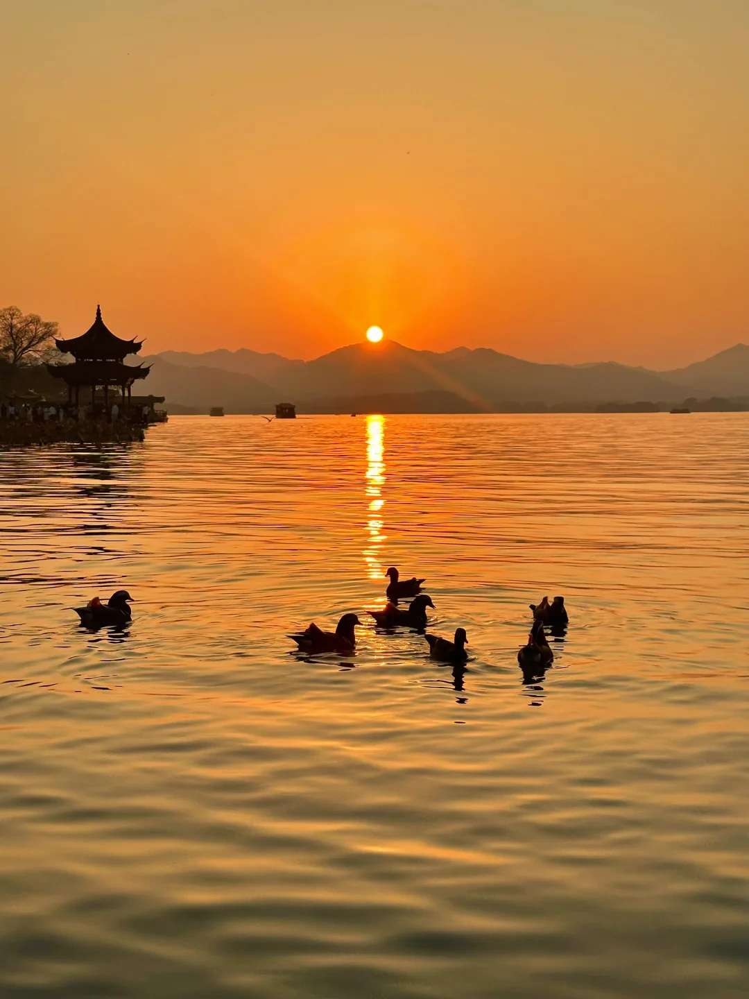 12.06 西湖日落live🌄这就是来西湖的意义！