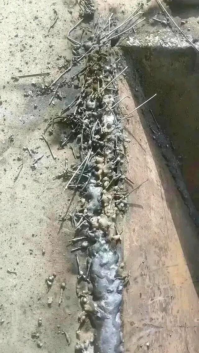 今天在工地找了个日结，焊一天铁给350。活儿干完正等老板，人家直接转账，说有
