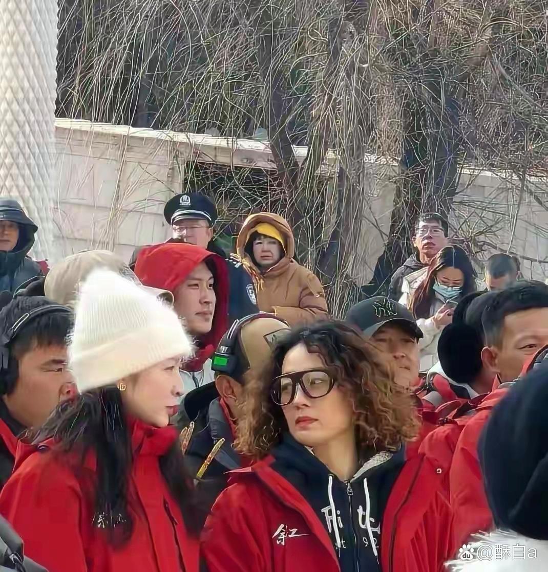 马伊琍换新发型，黄色羊毛卷搭配黑框眼镜，温柔又有气质