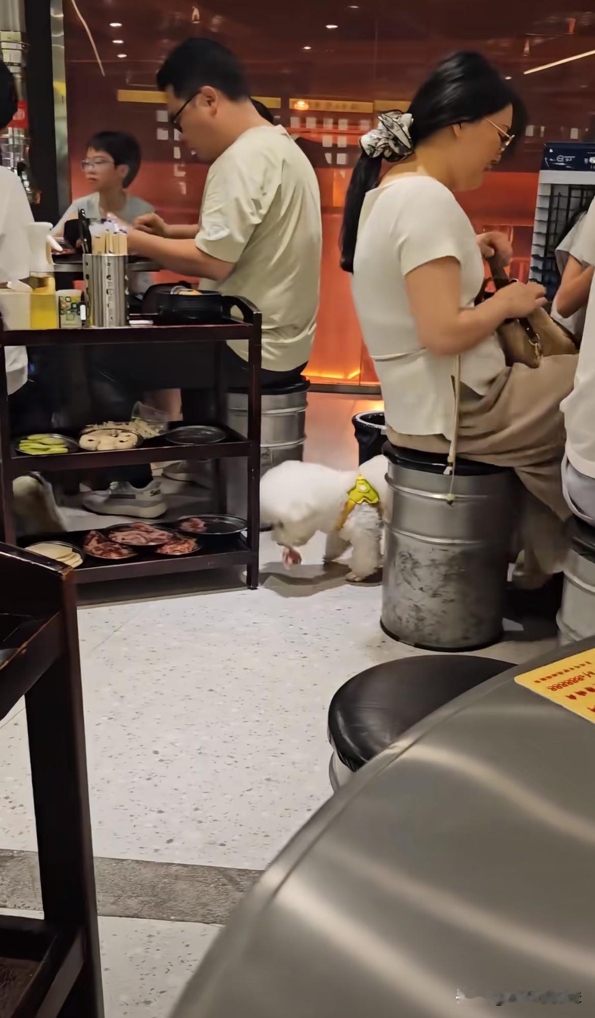 衡阳烤肉店第一名，尽情的享受吧！店家回应：停业一天，准备消毒！天啊‼️这狗舔过的