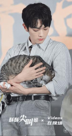 许凯这抱着猫的样子好温柔啊！猫儿莫不是他前世的情人变的，许凯一只手托着爪子，一只