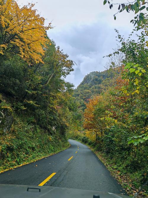 60万网贷压顶！男子离婚净身出户竟藏"求生玄机"60万网贷窟窿没逼垮他！男