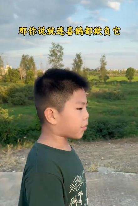兄弟俩遇到一群喜鹊围堵着啄一只小狗，他们赶紧跑过去驱赶走喜鹊，弟弟蹲下来