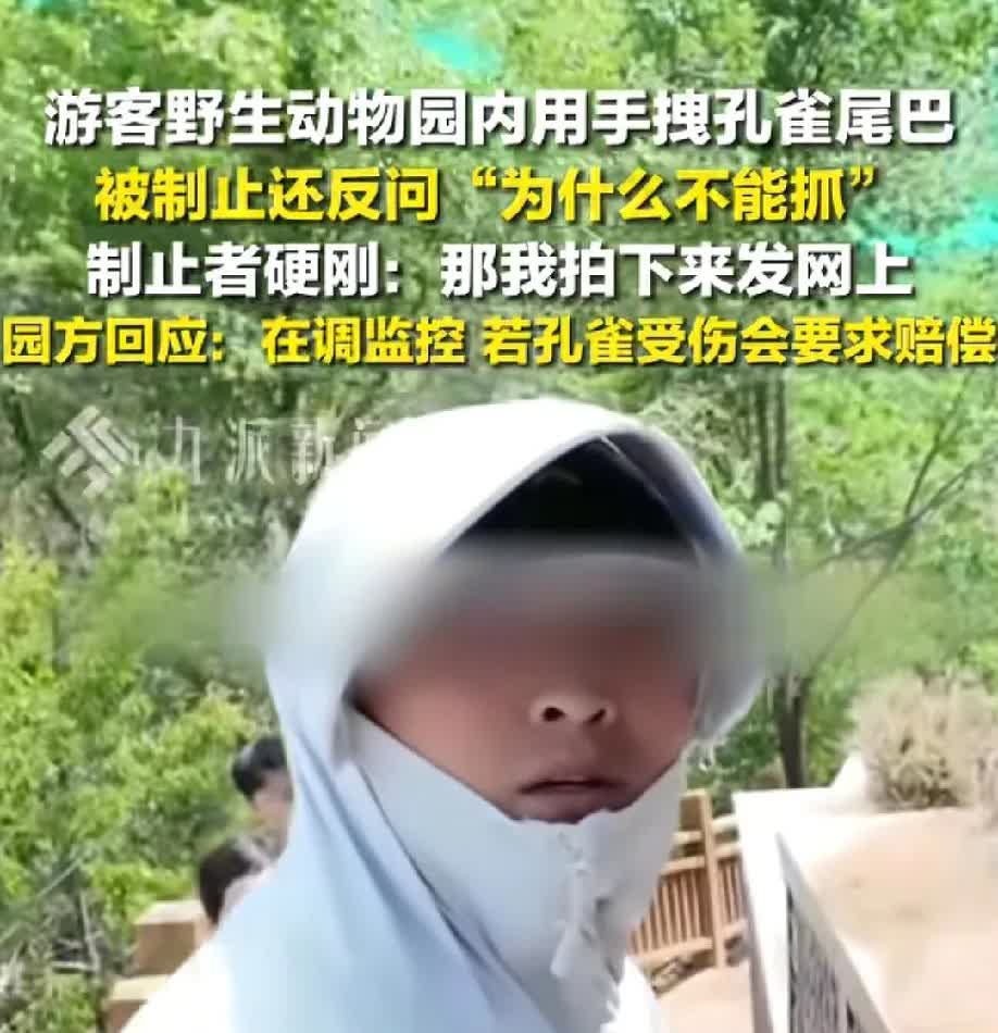 要有自知之明，青海西宁，一名游客在动物园中，发现了一男子对孔雀的“不文明”行为，