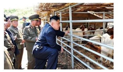 你知道吗？朝鲜人其实很少吃猪肉。你可别以为是朝鲜人不爱吃猪肉，压根不是那回事