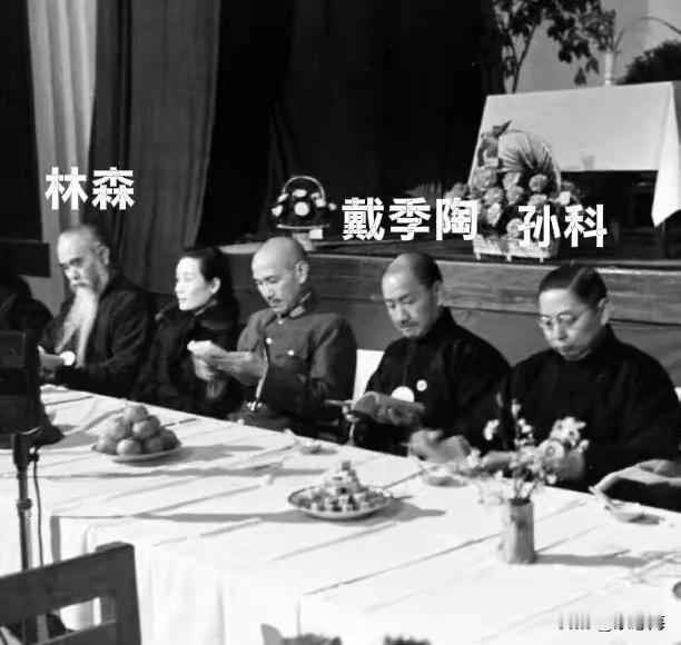 人们都知道蒋介石有两个儿子，一位是亲儿子蒋介国，一位不是亲儿子蒋纬国。网上都