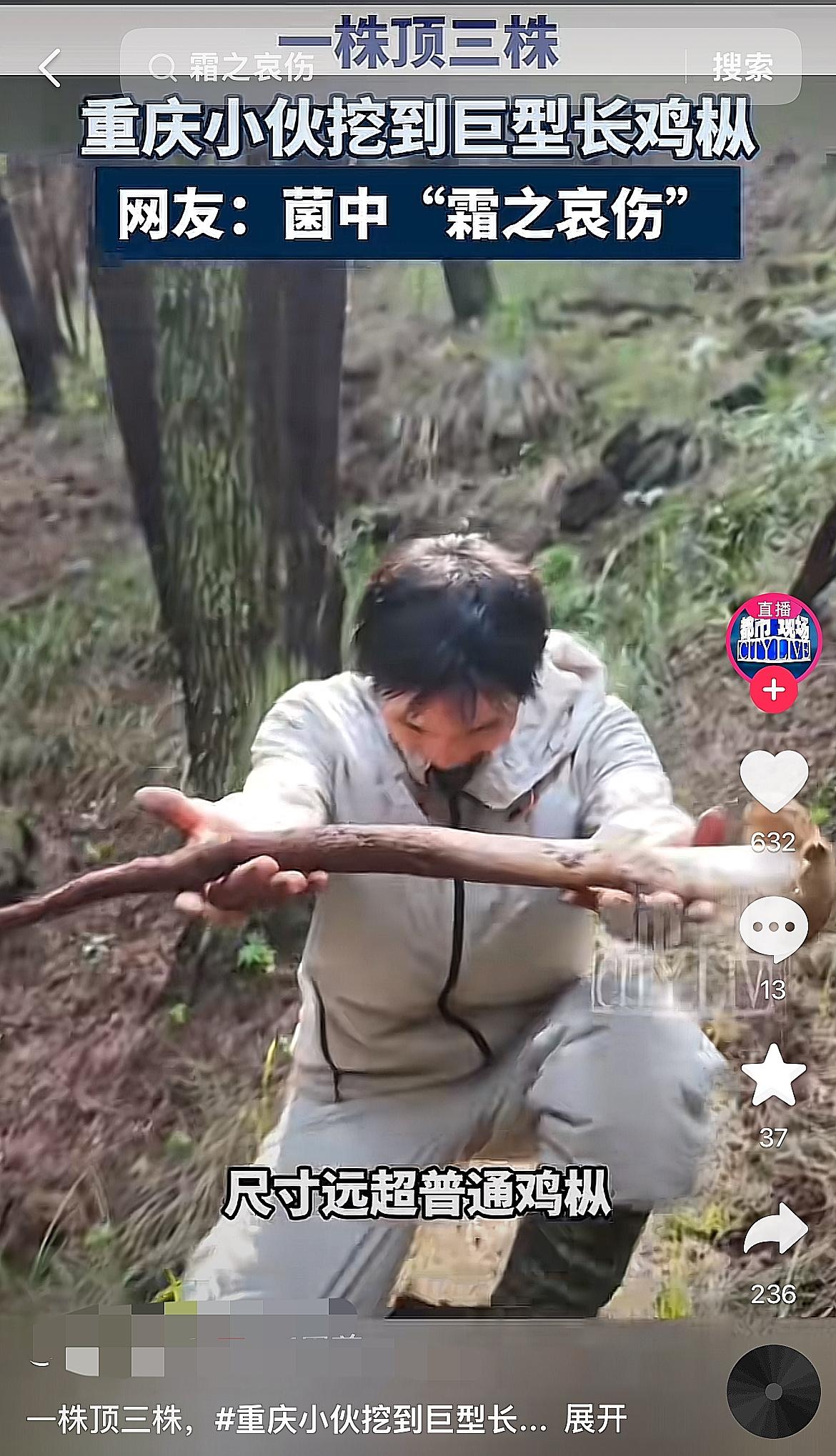 云南人彻底破防了。就因为重庆一哥们，上山随便溜达了一圈，捡了根66厘米长的鸡枞