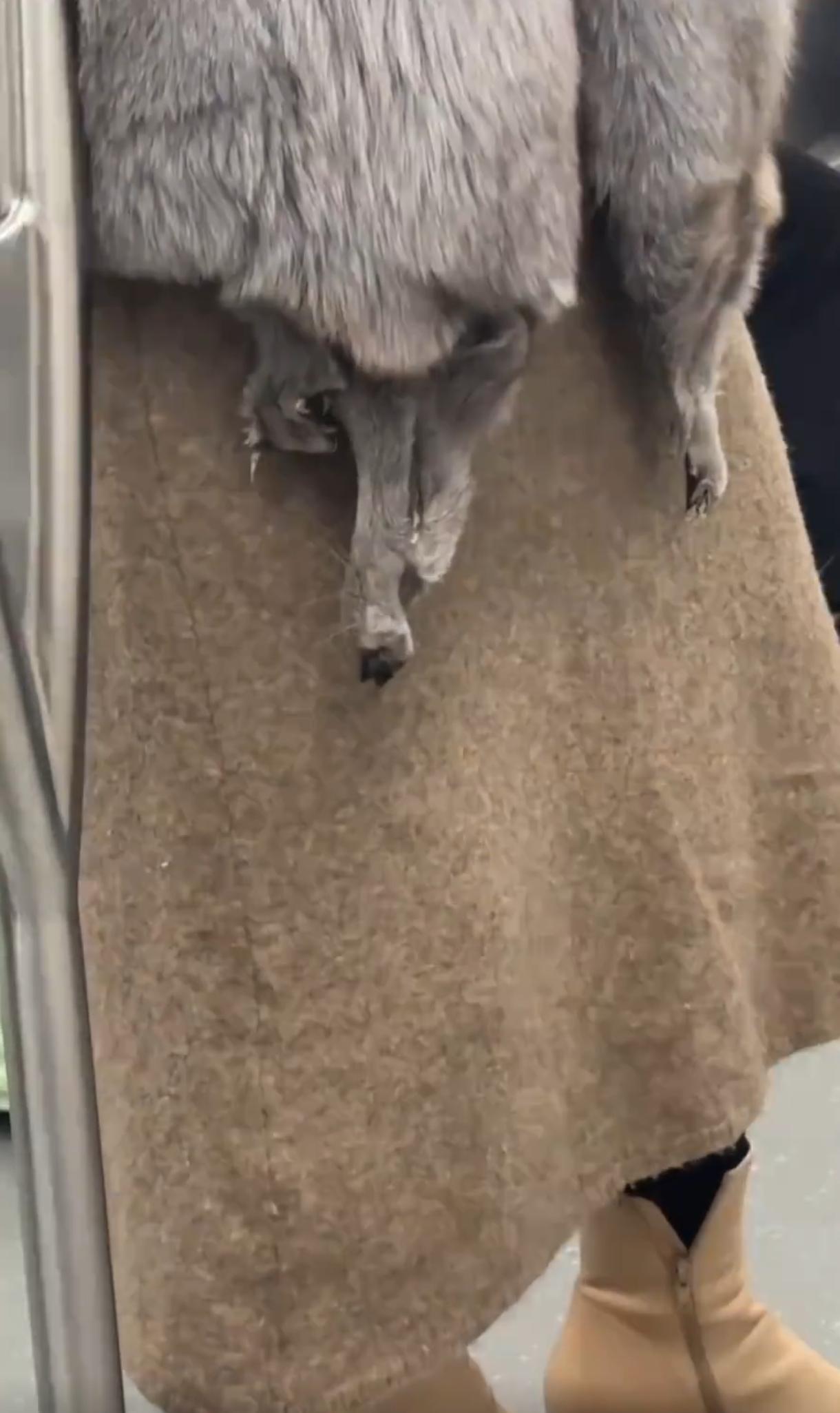 在地铁上，看到了震惊的一幕，本来以为这名女子怀里抱个猫，结果仔细一看，竟