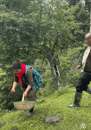 除了那一脚，其余的每一步都不是自己愿意走的![捂脸哭]