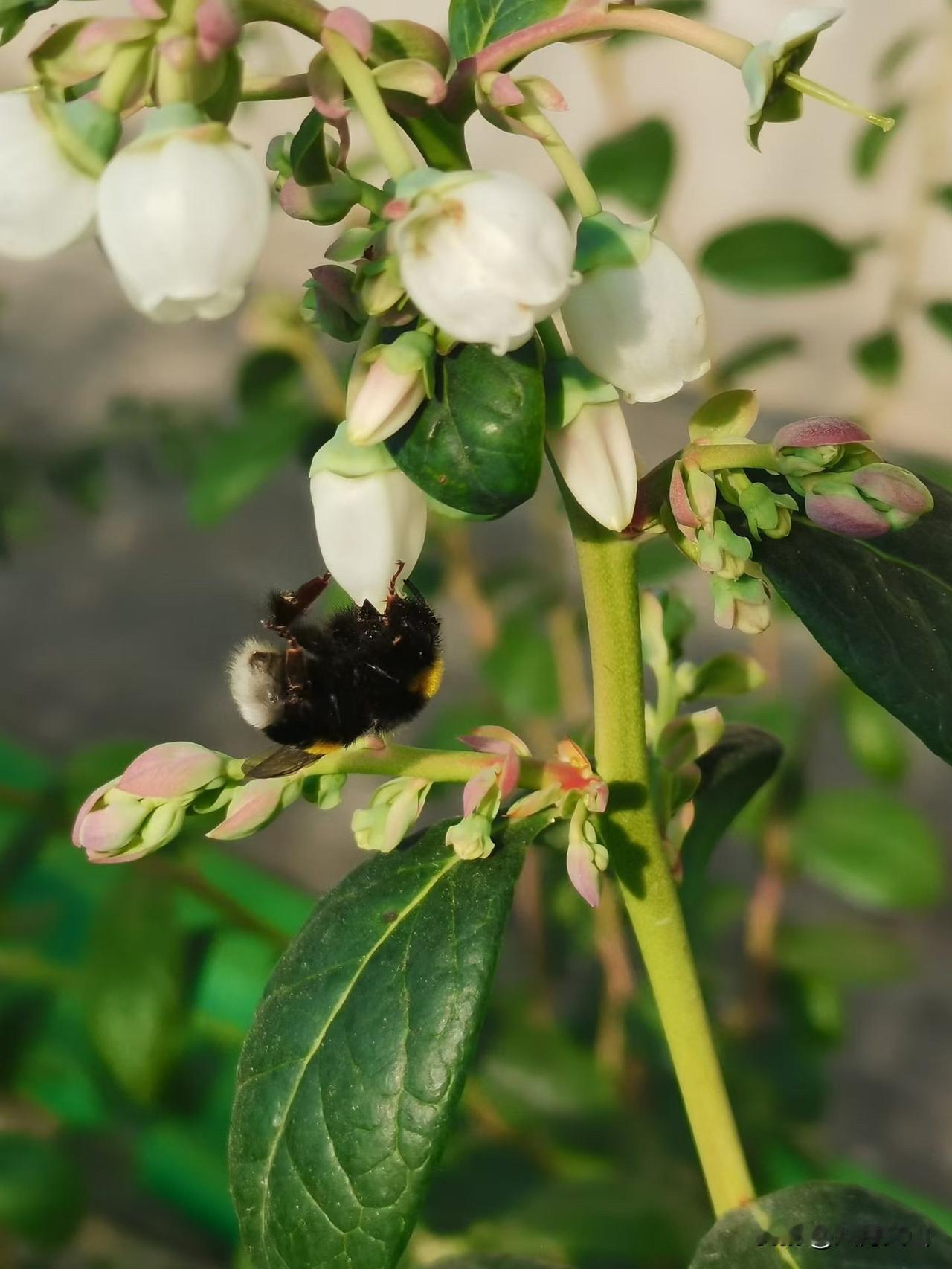 你是单位里的技术大拿，领导器重，同事佩服。顺理成章地，你被提拔成了中层领导。