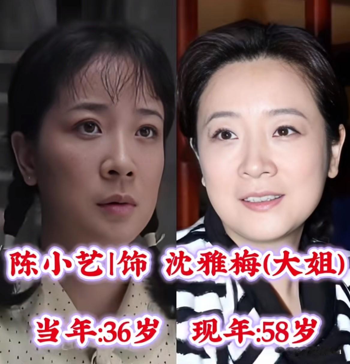 一部《大姐》道尽人间亲情主演今昔差距太大2004年的《大姐》，当年不知道