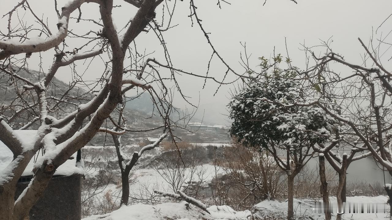 我大妯娌是个奇葩。她双侧膝关节退行性病变，严重的时候走不了路，只能趴在地下爬。