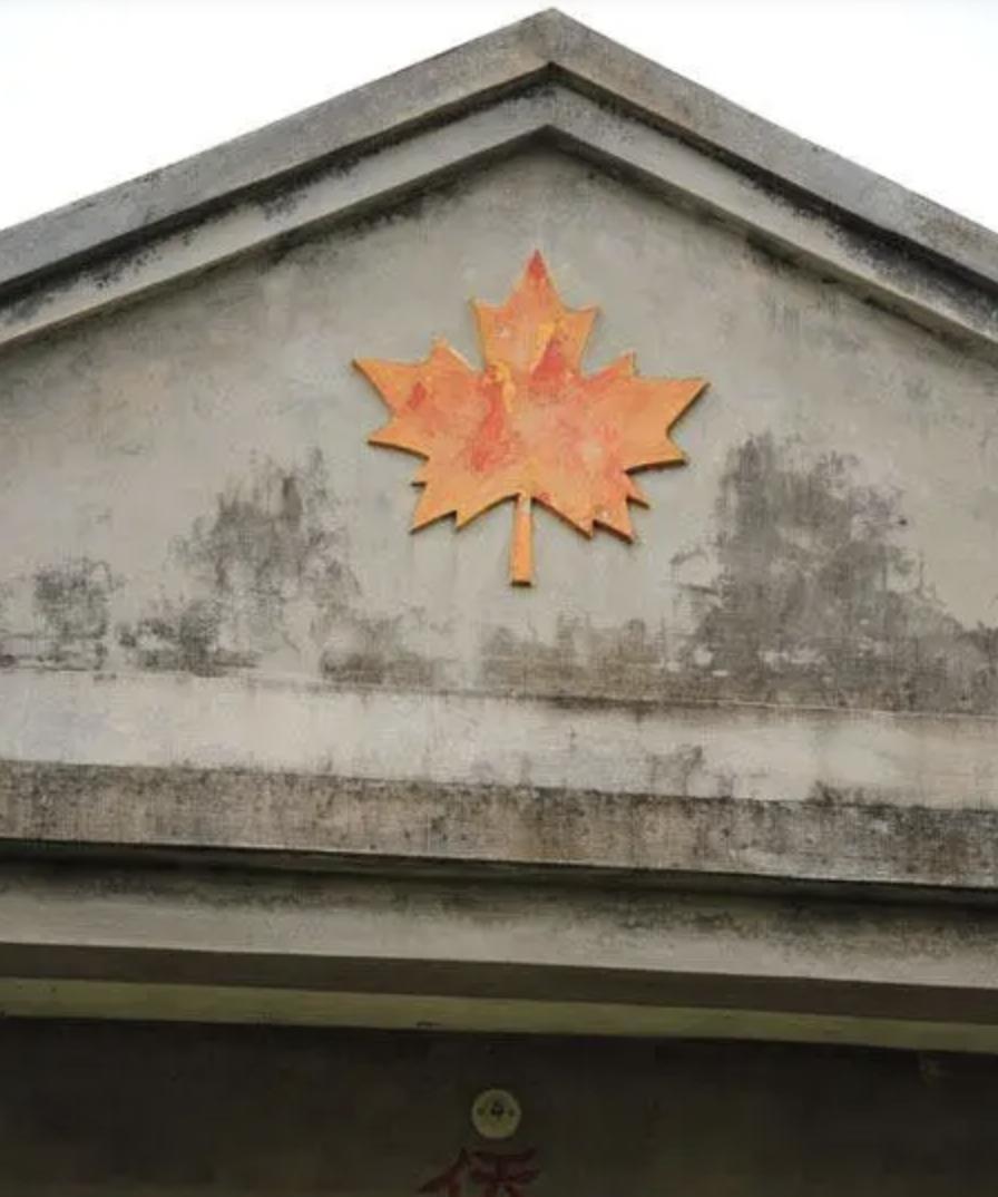 广东有个特殊的地方，曾属于三不管地带，盗匪猖獗，如今尽是美国村、加拿大村、墨西哥