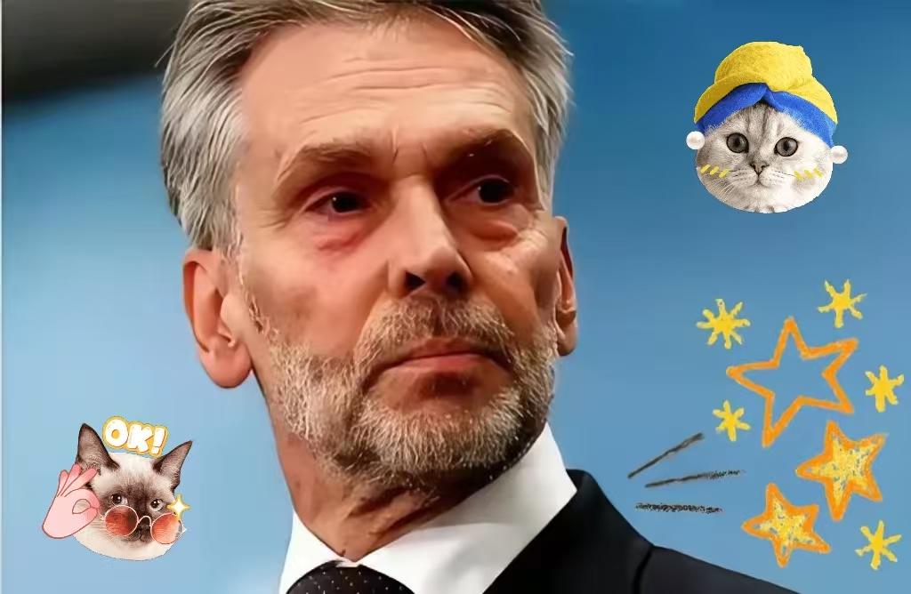 果不果然安世荷兰消息2025年11月23日晚，闻泰科技确实发布了相关声明，敦