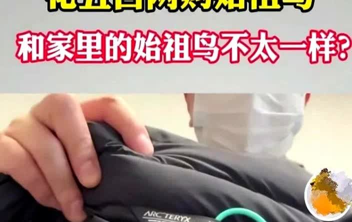 6月28日浙江绍兴一名男子花了569元购买了一件“始祖鸟”Polo衫可是收到衣服