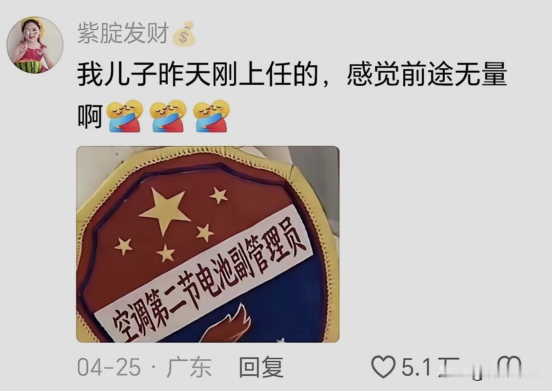 天热了，正上小学三年级的儿子被任命为“班级空调第二节电池副管理员”。仅仅经过一周
