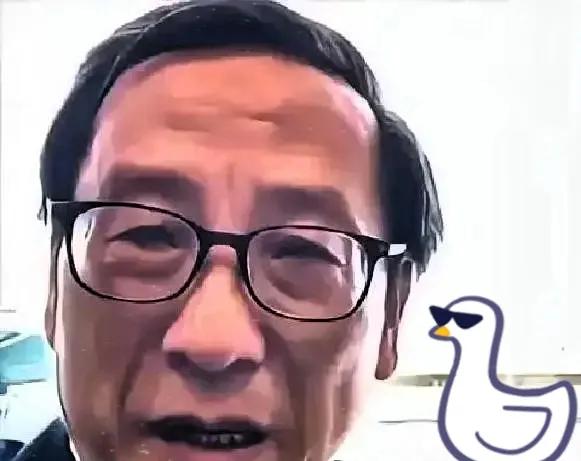 翻开那本泛黄的“吴氏账本”，我心里咯噔一下。高志凯教授说的那句大实话，确实扎