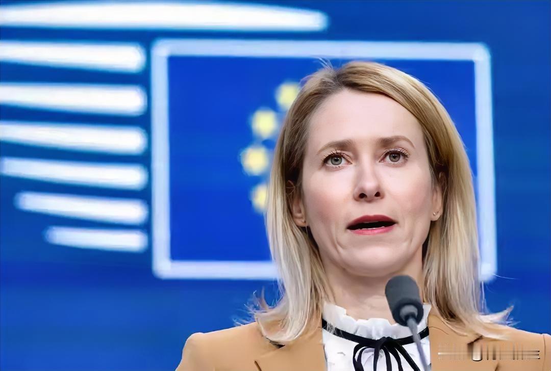 数小时前，欧洲对华强硬派、欧盟外长卡拉斯再次一语惊人。她在召开欧盟各国外长会之后