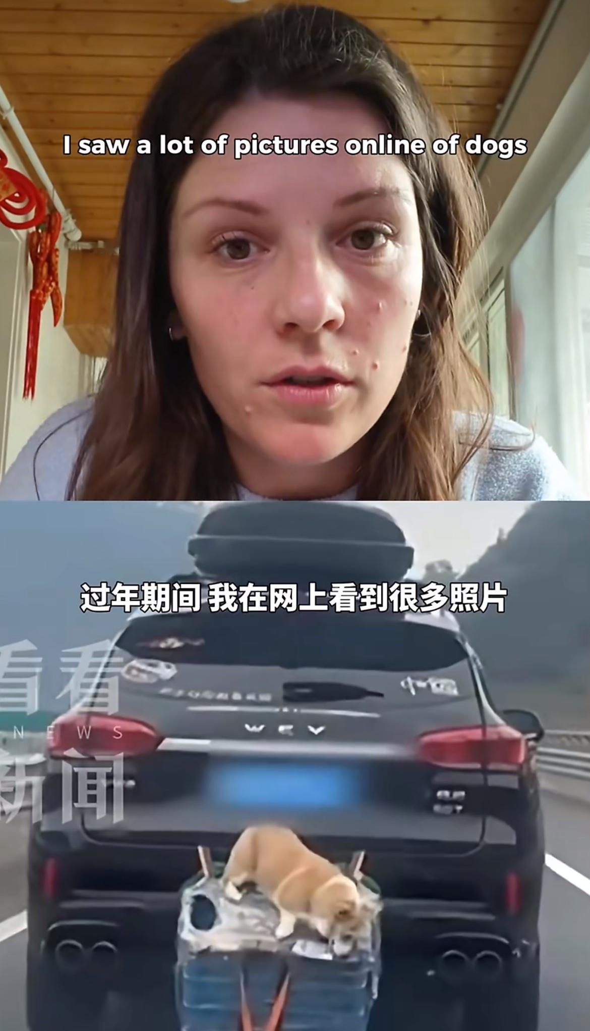 美国女子吐槽中国春运，有些人会把宠物挂在车后面或者是车顶，然后在高速上行走，这种