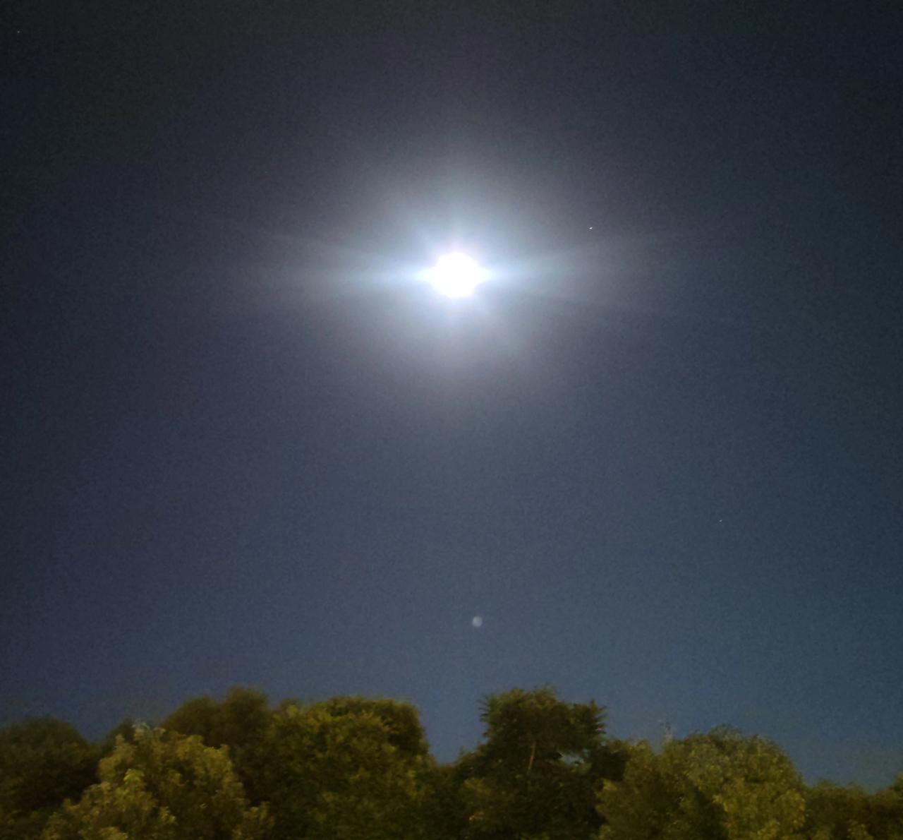 风很柔；夜很静。月光很纯洁！独行无声，呢喃入梦，心有千千结。