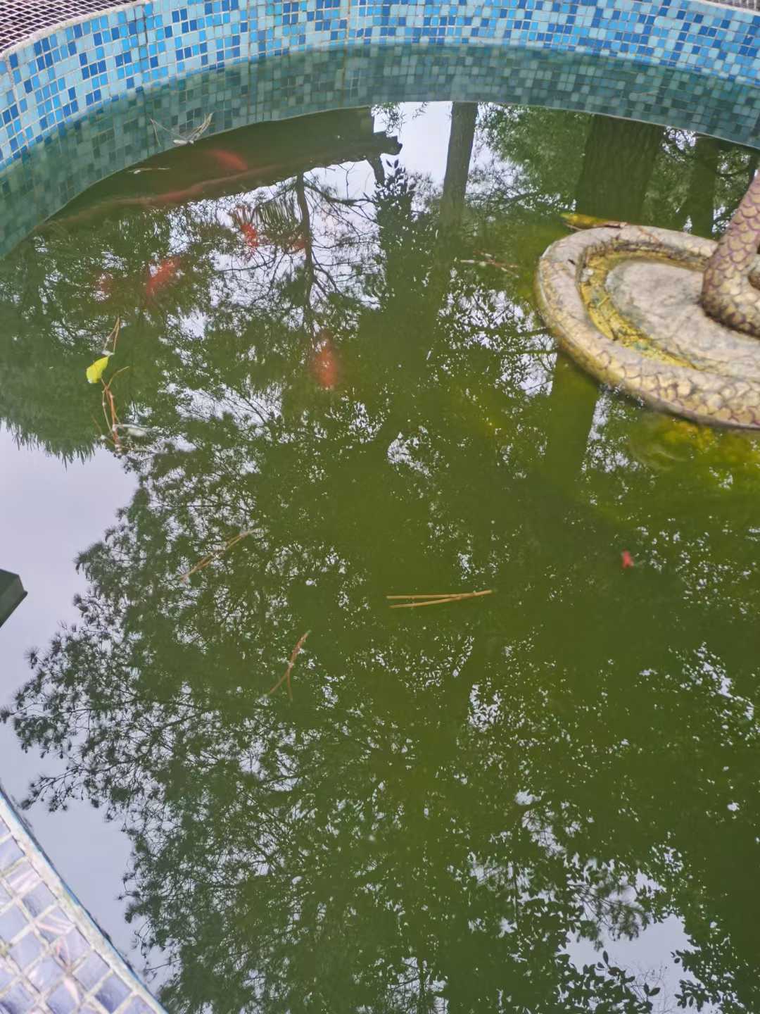 既然人都要死亡，那活着的意义是什么？活着的意义就是体验！🍵体验各种酸甜苦辣
