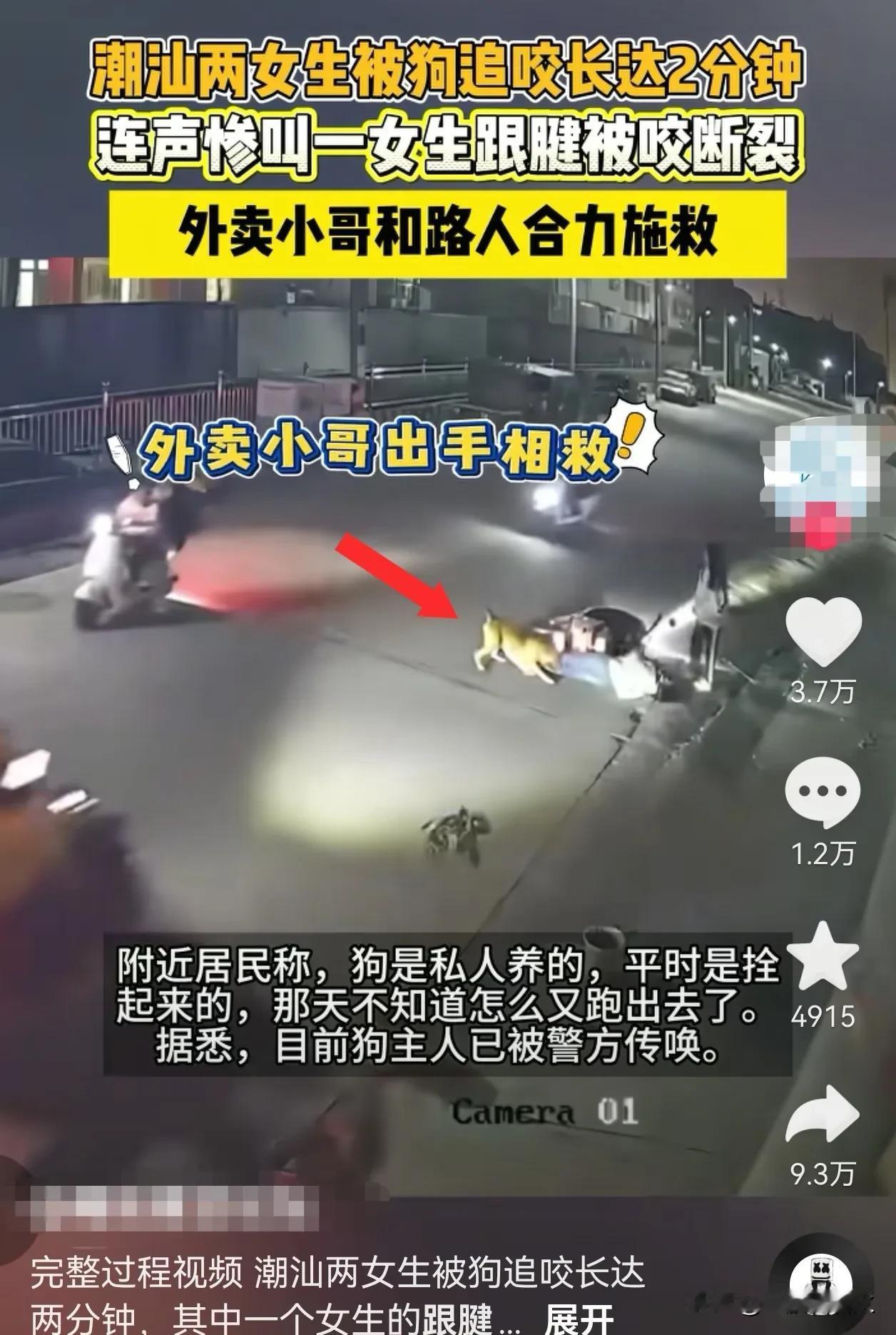 太吓人了，跟腱都被活生生咬断了！前两天，潮汕那边出事了。两名女生