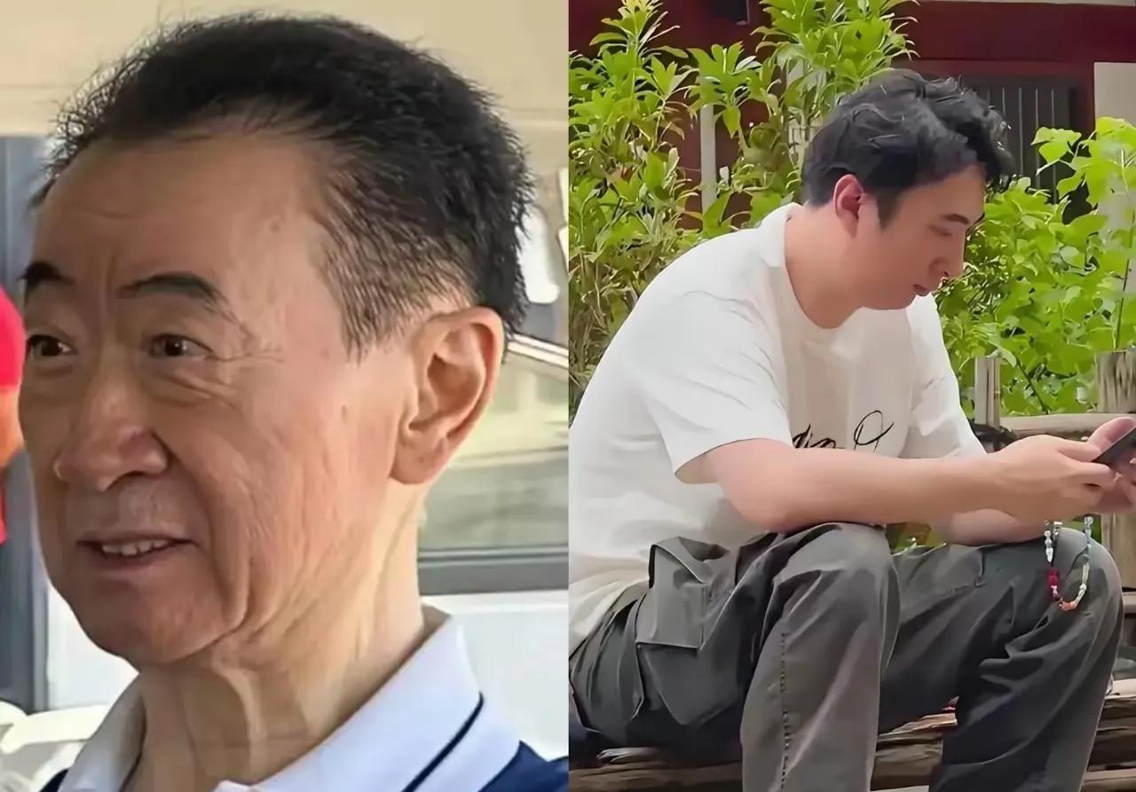 王健林被限制高消费，确实很难相信这是真的，曾经的中国首富呢？现在好像也很好理解