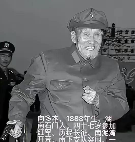 1954年，王震看到“向多本”的职务仍是“班长”时，忍不住大声说到：“向