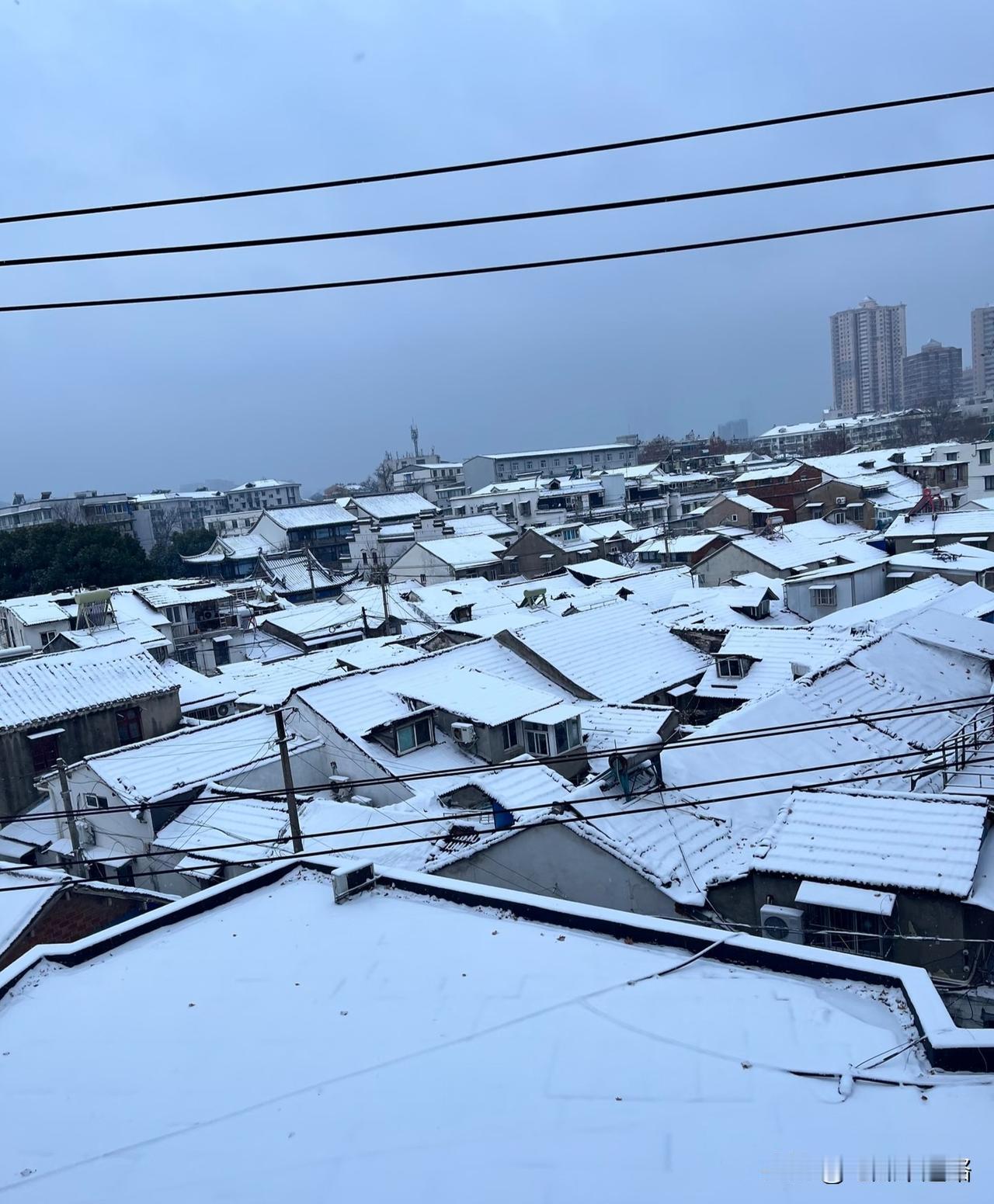 南京这波雪天操作，主打一个猝不及防的尴尬！大寒一场雪+气温骤降，直接把六朝古