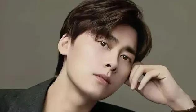 李易峰为何突然被强制执行4990万元？背后的故事令人关注。近年来，李易峰及其名
