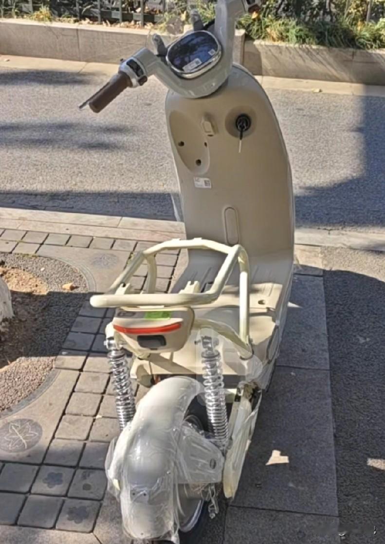 两个好消息，1车子没丢。2电池没丢。一个坏消息，车座子没有了？。新国标