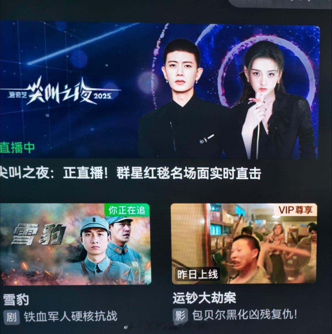 一打开电视爱奇艺就是这个画面👍任嘉伦《无忧渡》国民好剧的含金量