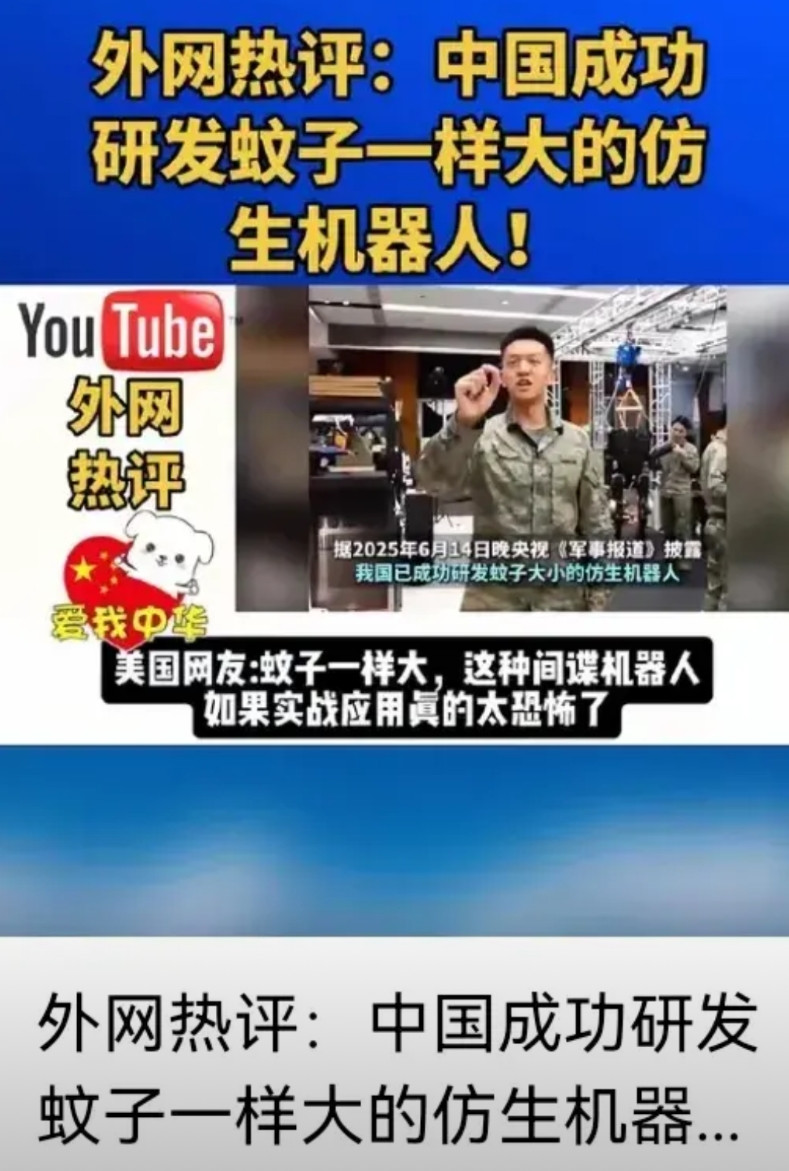 中国成功研发蚊子一样大的仿生机器人后，外网掀起热议：为什么“中国一有成就，就生