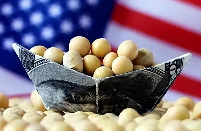 美国为何执意要将大豆出口到中国？实际上，从美方立场来看，连续三年停止对华大豆出口