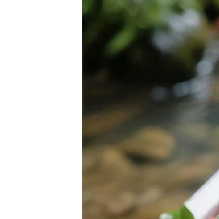 0000荔枝种植方法：1、种植位置栽种荔枝树之前，要先确定好栽种的位置，适合种植