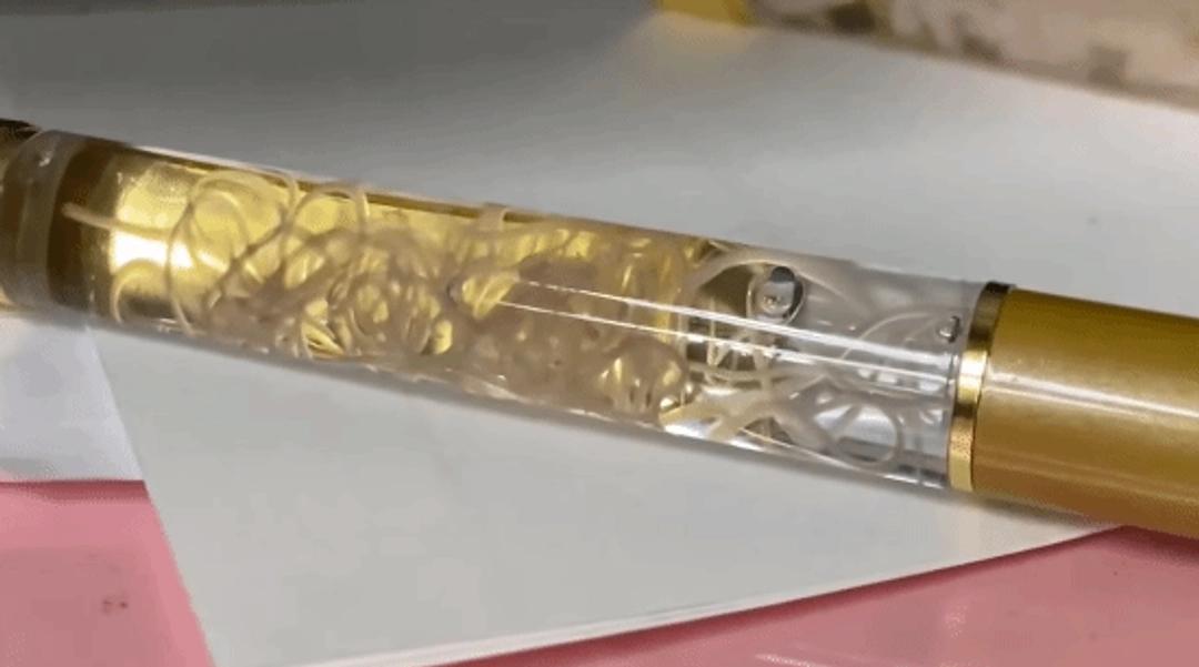 看完我鸡皮疙瘩掉一地。日本一家水产店做的“寄生虫圆珠笔”突然爆火，笔杆里真