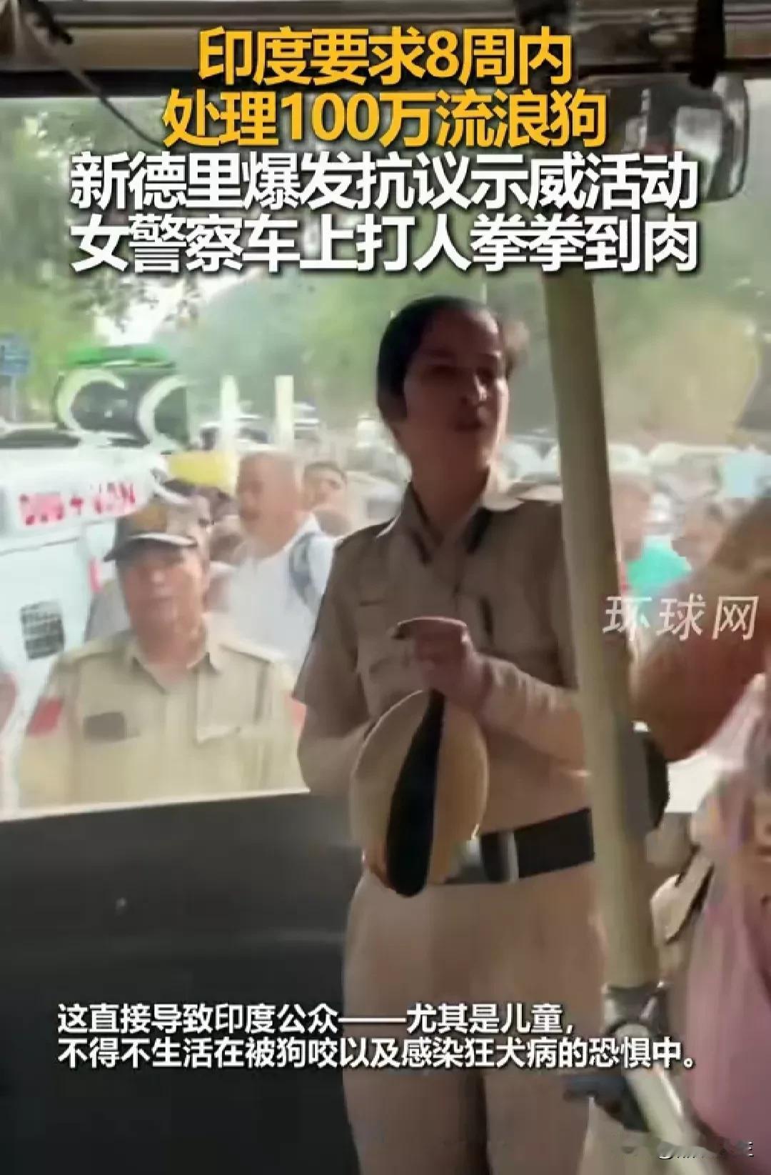 印度爱狗人士反对政府处理100万流浪狗，在车里和女警打了起来。印度是一个非常神