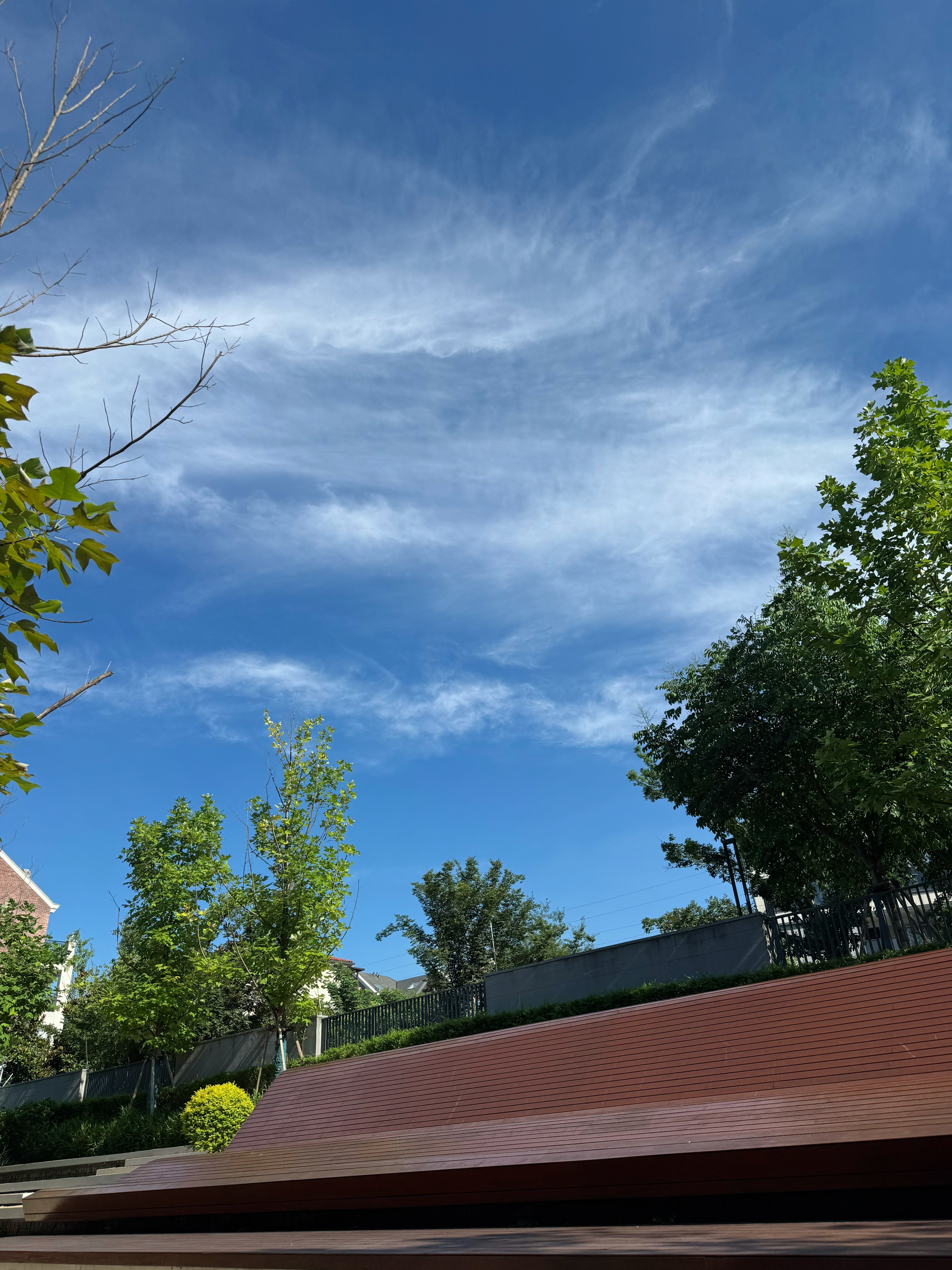 暴风雨来临前的宁静ai宠出道计划