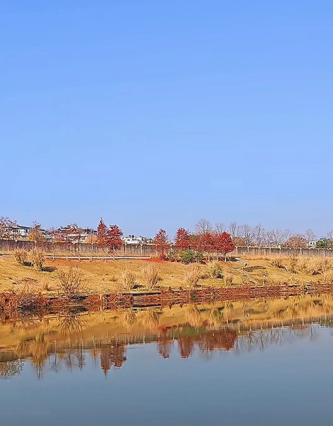 过年回老家也就十几天，和街坊邻居们聊天，发现很多家孩子都离婚了，各样的原因都有，