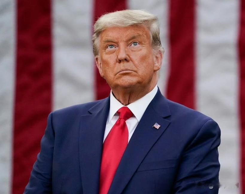 CNN的数据分析显示，移民及海关执法局（ICE）、国土安全部（DHS）以及克里斯