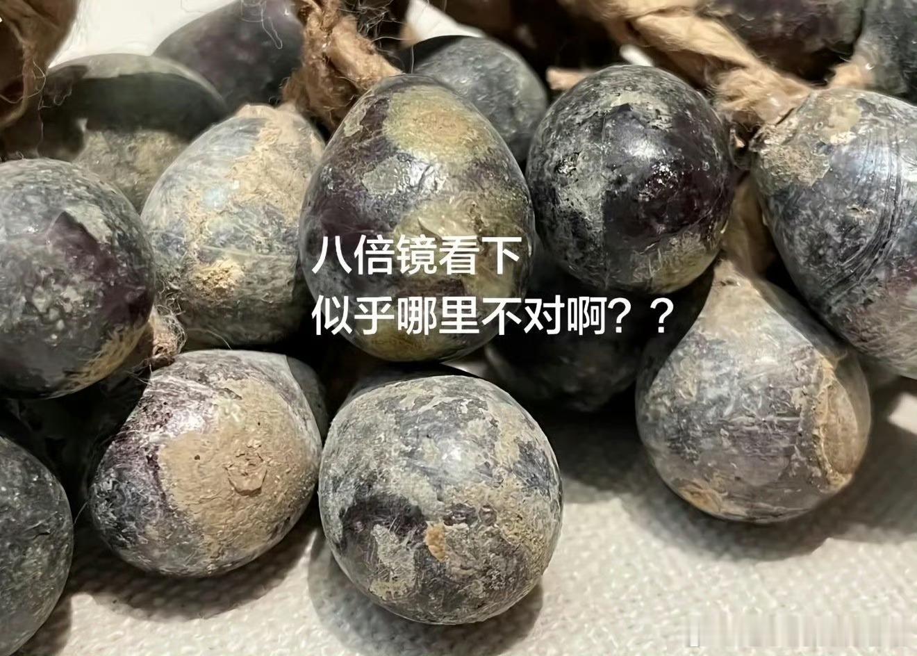 第一次被中式美学震撼到园林里一步一景，月洞门框住四季，假山流水藏着“藏与露”的