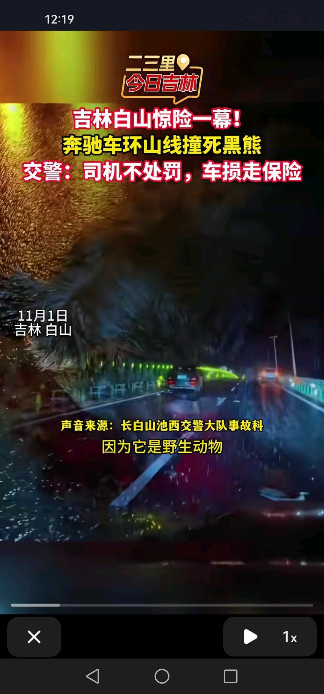 11月1日，吉林白山环山线发生一起意外，一辆奔驰车撞上并撞死了一头黑熊，真是“黑