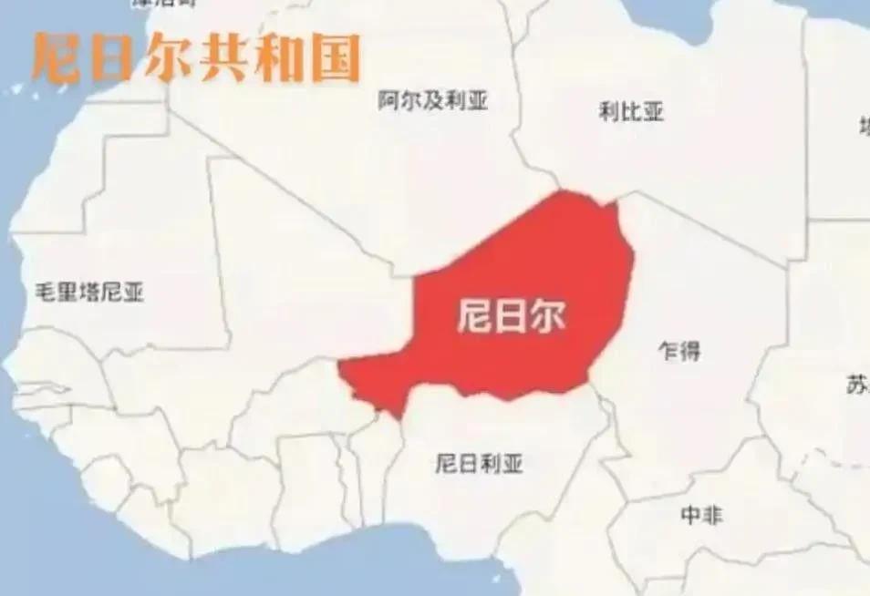 中国人种树，还没来得及乘凉，先被尼日尔军政府摘桃。我们用了20多年，投资了几十
