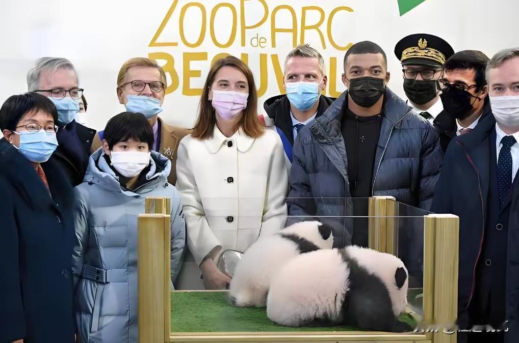 大家不知道的是，大熊猫租借到国外每年仅仅100万美元，如果非正常死亡，要支付50